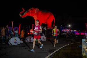 BIB: 
                            <button type="button" onclick="openModal(26551889)" class="btn btn-primary btn-sm float-right btn-popup" data-toggle="modal" data-target=".modal-high-quality">
                        <i class="fas fa-shopping-cart"></i> Add to Cart
                    </button>
                                            <button type="button" onclick="isThisMe(26551889, true)" class="btn btn-success btn-sm float-right btn-popup btn-isme hidden" data-toggle="tooltip" data-placement="bottom" title="นี่คือรูปของคุณใช่ไหม คลิกที่นี่เพื่อเอาเข้าอัลบั้ม">
                        <i class="fas fa-plus"></i> Add to album
                    </button>
                    <button type="button" onclick="isThisMe(26551889, false)" class="btn btn-warning btn-sm float-right btn-popup btn-isnotme hidden">
                        <i class="fas fa-ban"></i> Remove from album
                    </button>